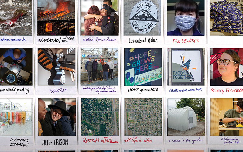 Collage of photos from 2020 UW Tacoma feature stories