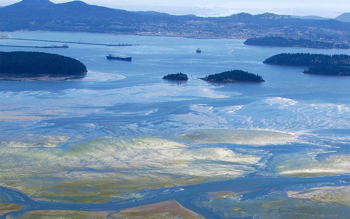 Aerial view of Puget Sound's Padilla Bay with mud flats, eelgrass and channels. Refinery docks, Anacortes and San Juan Islands in background.