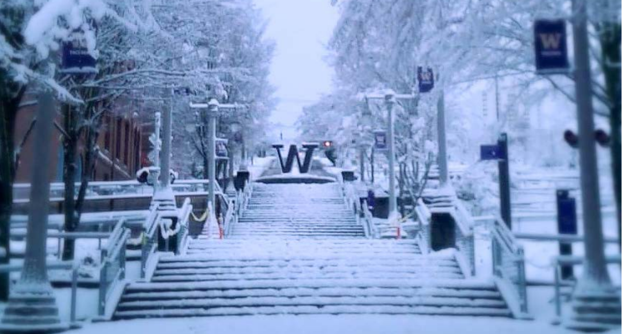 UW Tacoma campus covered in snow