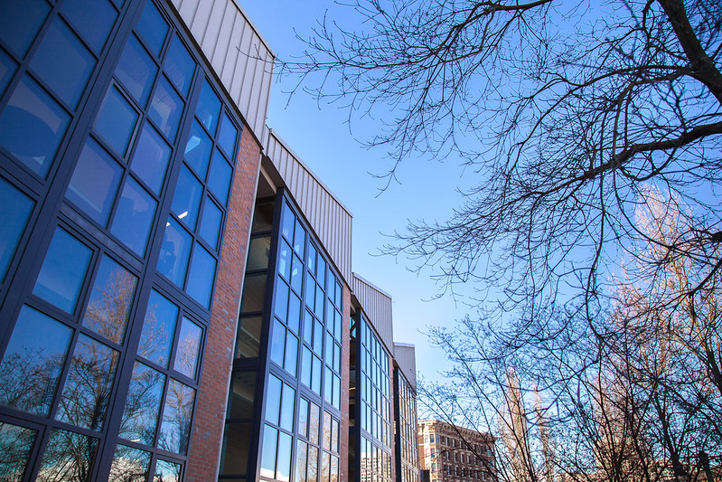 Bare trees on campus