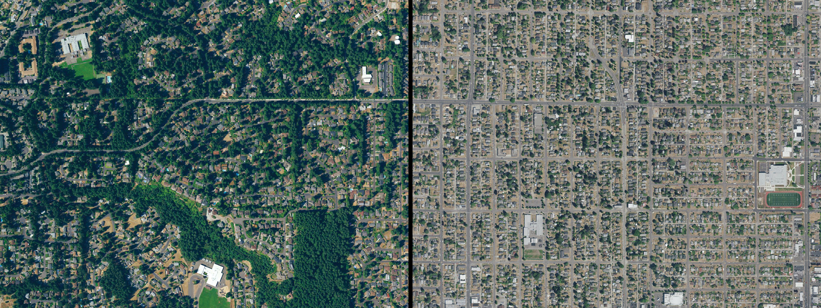 Comparative illustration showing urban neighborhoods with and without dense tree canopy.