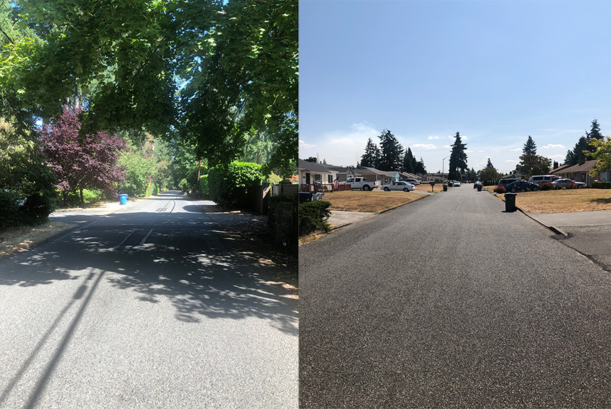 A pair of streets in Lakewood, Washington, show disparity in tree canopy.