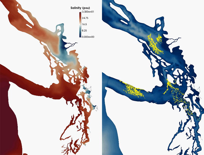 Maps of Salish Sea showing surface salinity and surface layer transport.