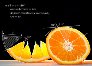 Heather Dillon, "Angles of an Orange"