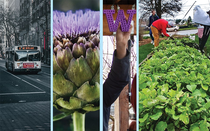 Montage of sustainability-related images: city bus, thistle plant, mason bee habitat, UW Tacoma Giving Garden
