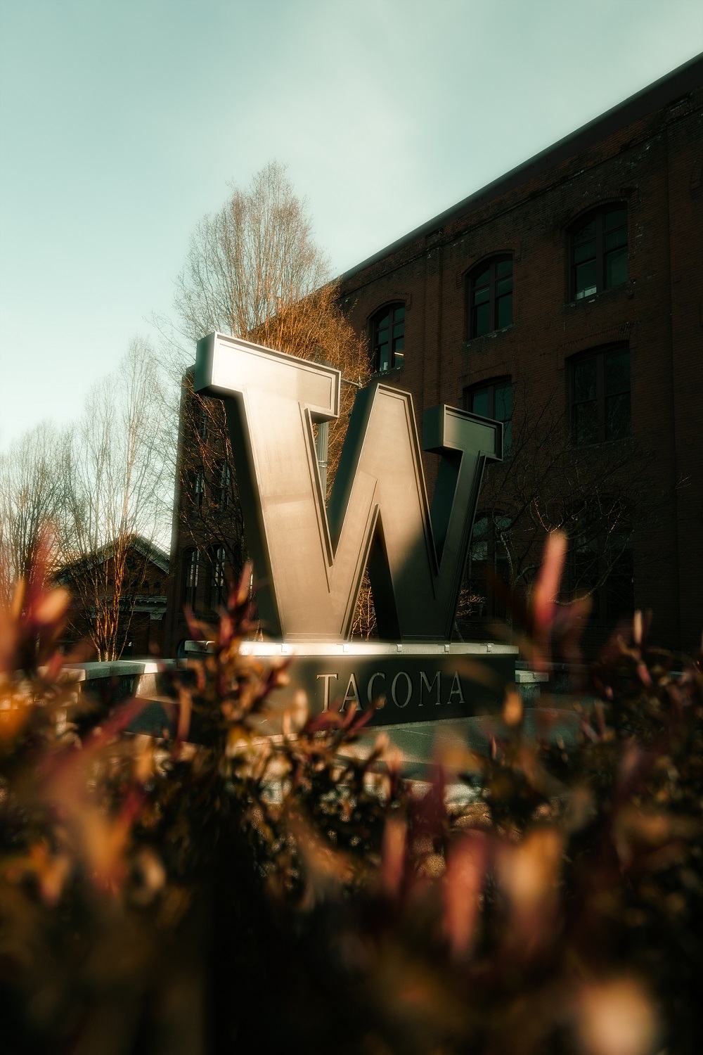 The UW Tacoma "W" statue. The leaves of a bush sit in front and the Tioga building can be seen behind the "W."