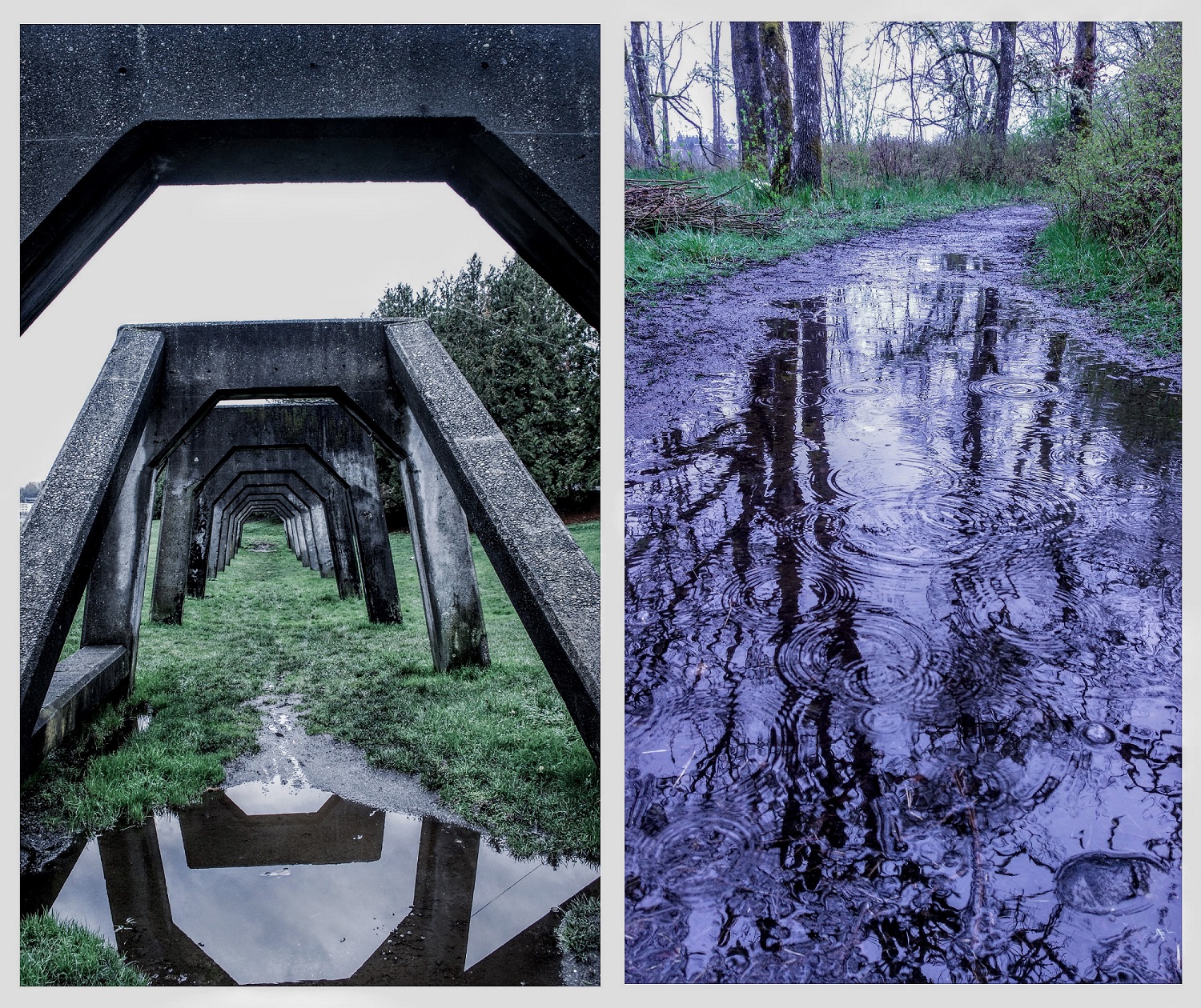 An image of concrete archways reflected in a pool of water amid a grass field, is juxtaposed against an image of a shallow waterway in a forest, reflecting the trees surrounding on either side.