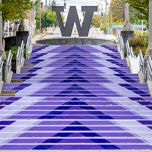 Making a Comeback | News & Information | University of Washington Tacoma