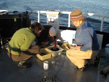 3 people examining microplastics