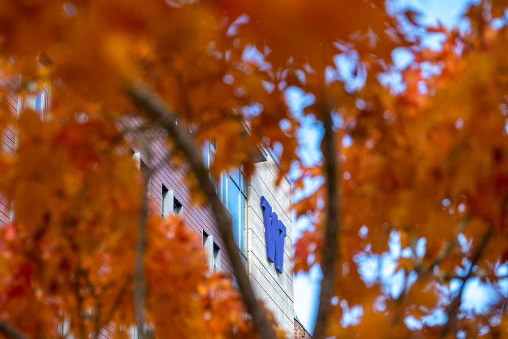 Autumn leaves by the Snoqualmie Library at UW Tacoma Campus, 2021
