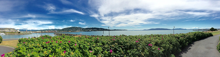 Wide-angle view of Bellingham, Wash., garden, path, water, sky