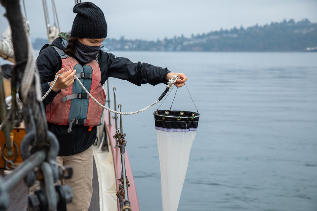 UW Tacoma student Kathrine Hackney deploying a plankton net over the side of Adventuress on Commencement Bay