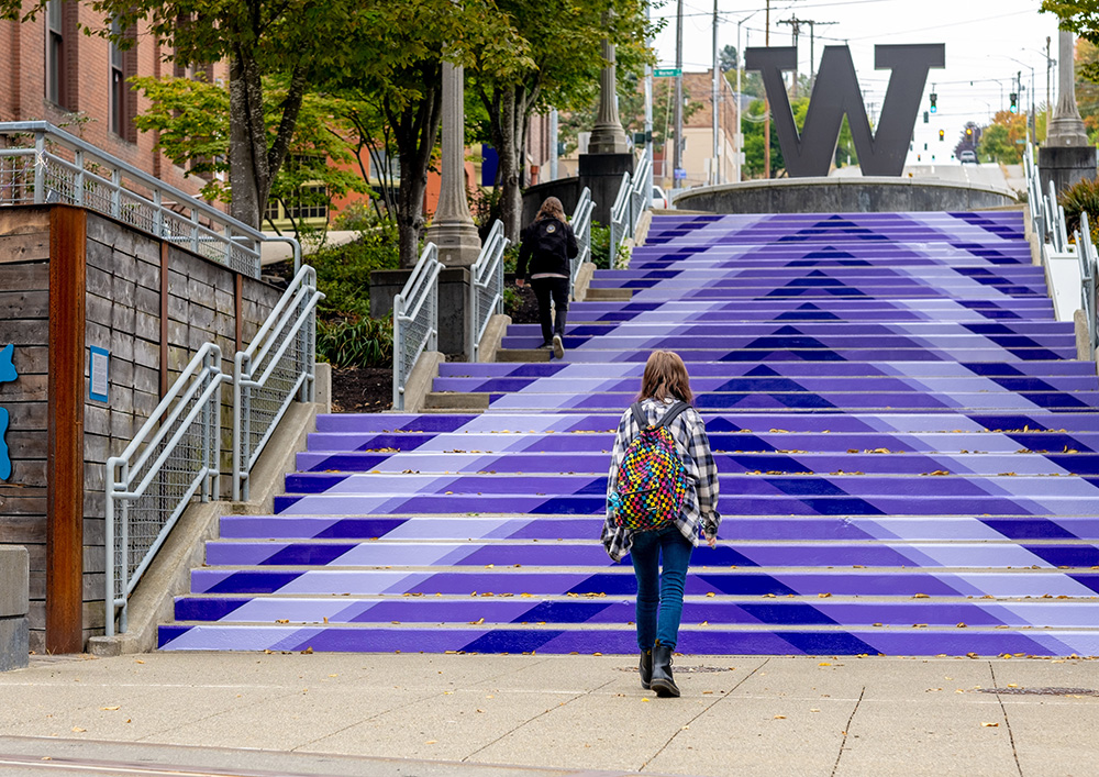 Photo of grand staircase with purple arrows