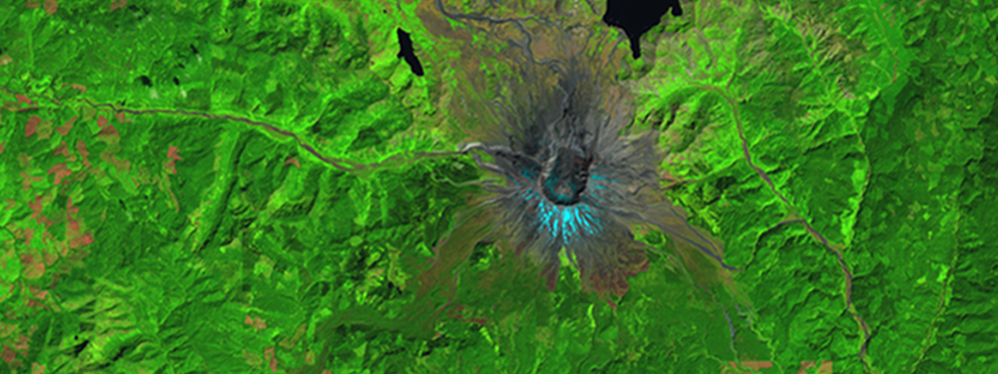 Mt. St. Helens regrowth image
