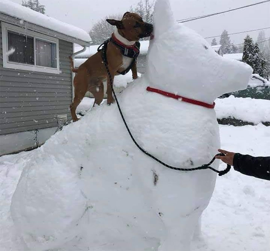 Giant snow dog with real dog perched atop.