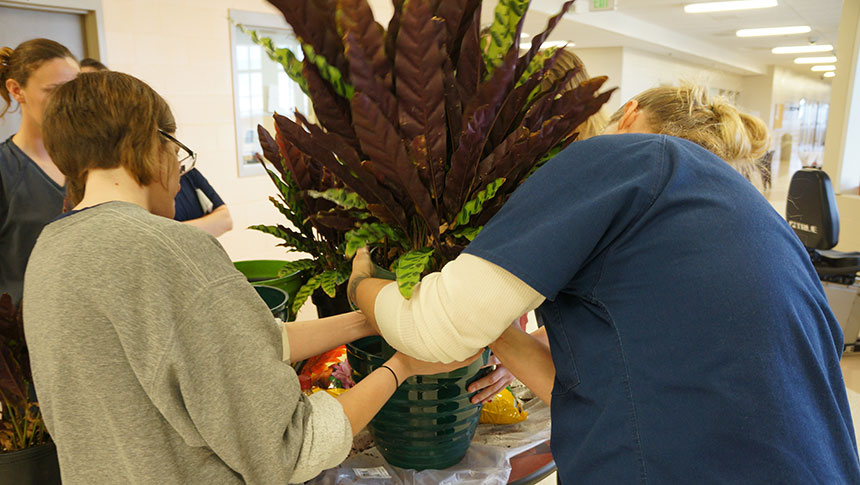 Women in Washington state prison potting plants.