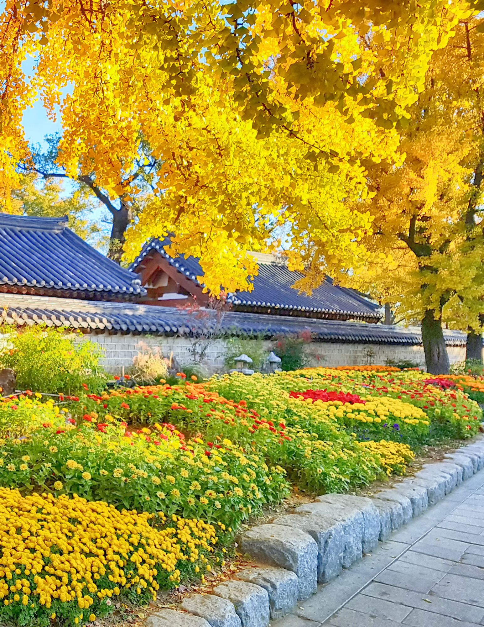 Traditional house with yellow leafed tree overhanging house