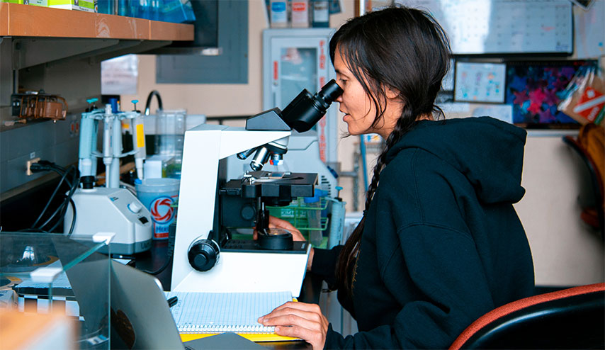Hozoji Matheson-Margullis looking through microscope eyepiece in UW Tacoma's Becker Lab.