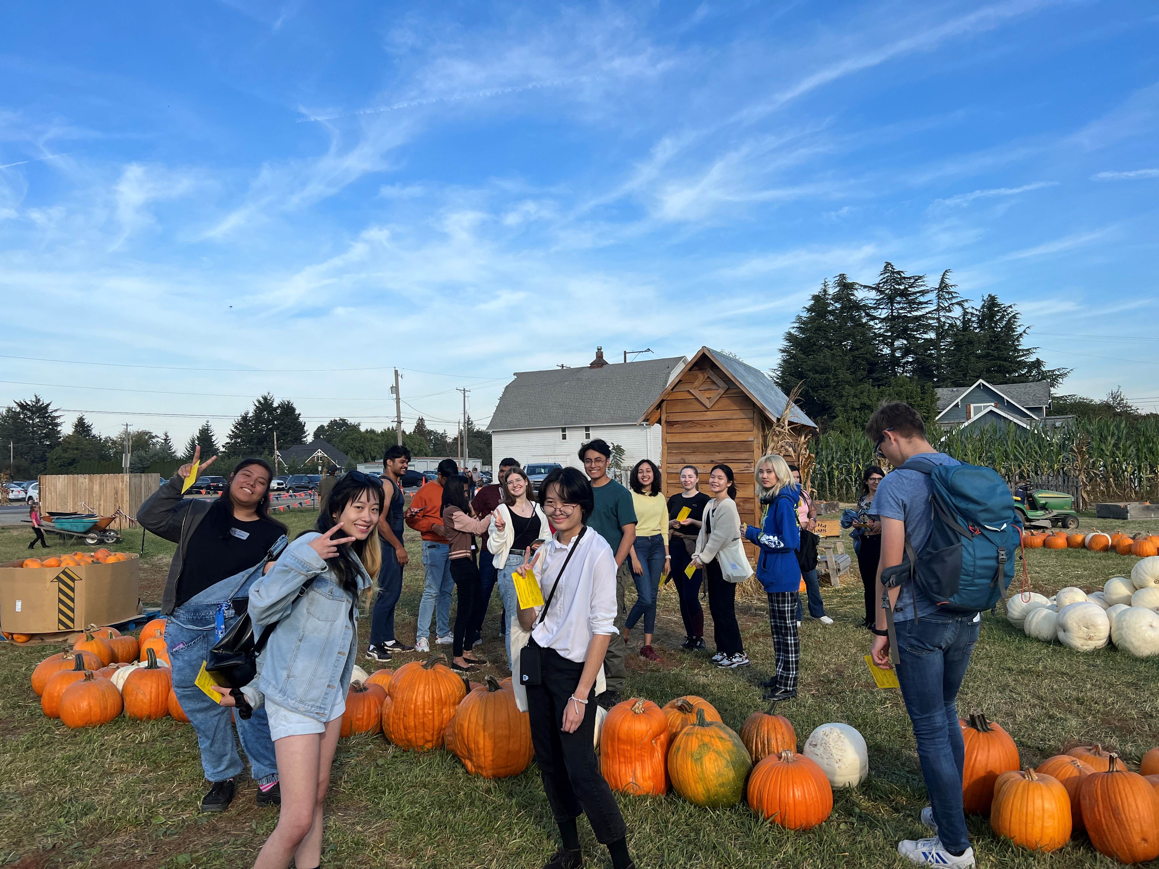 Pumpkin Farms