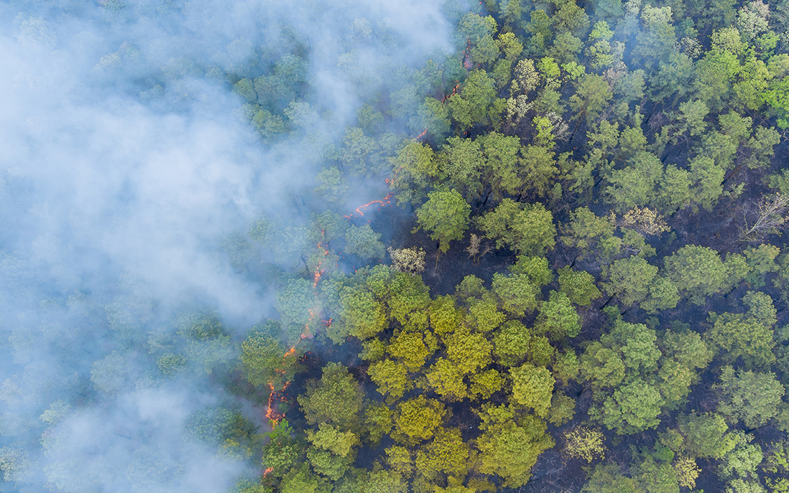 Aerial view of a forest with a dense green tree canopy. A line of fire cuts through the forest, producing thick smoke that spreads across the left side of the image.
