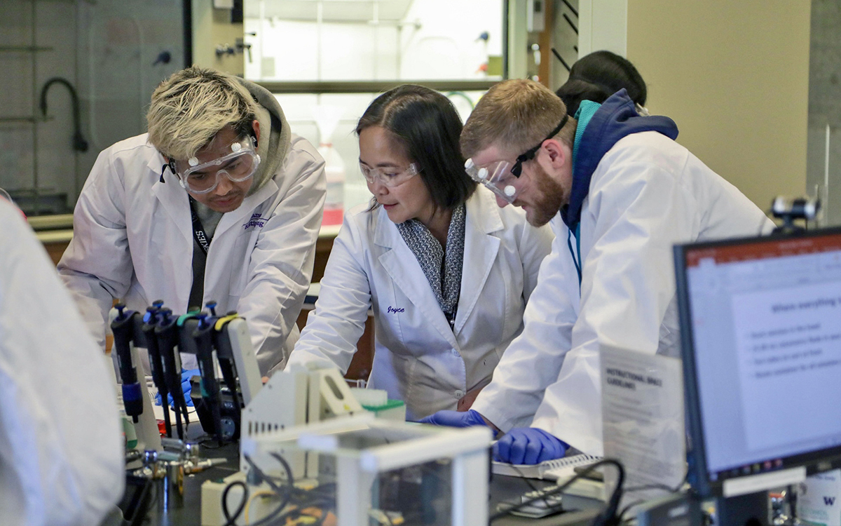 A UW Tacoma faculty member assists students in a chemistry lab.