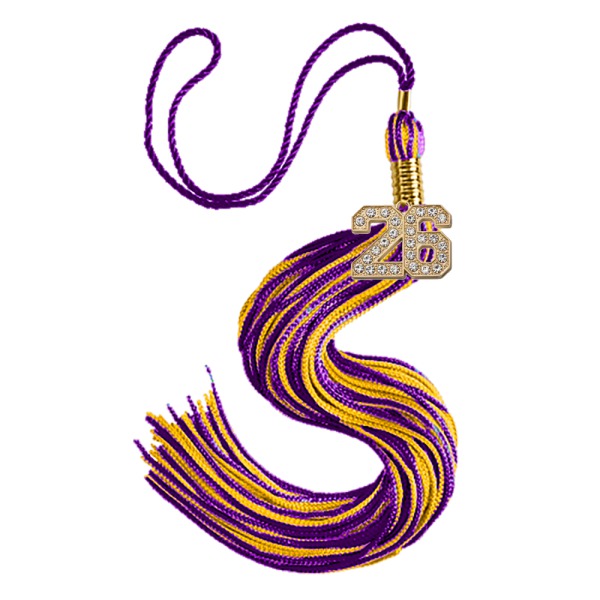 Purple and Gold Tassel with 26 Charm