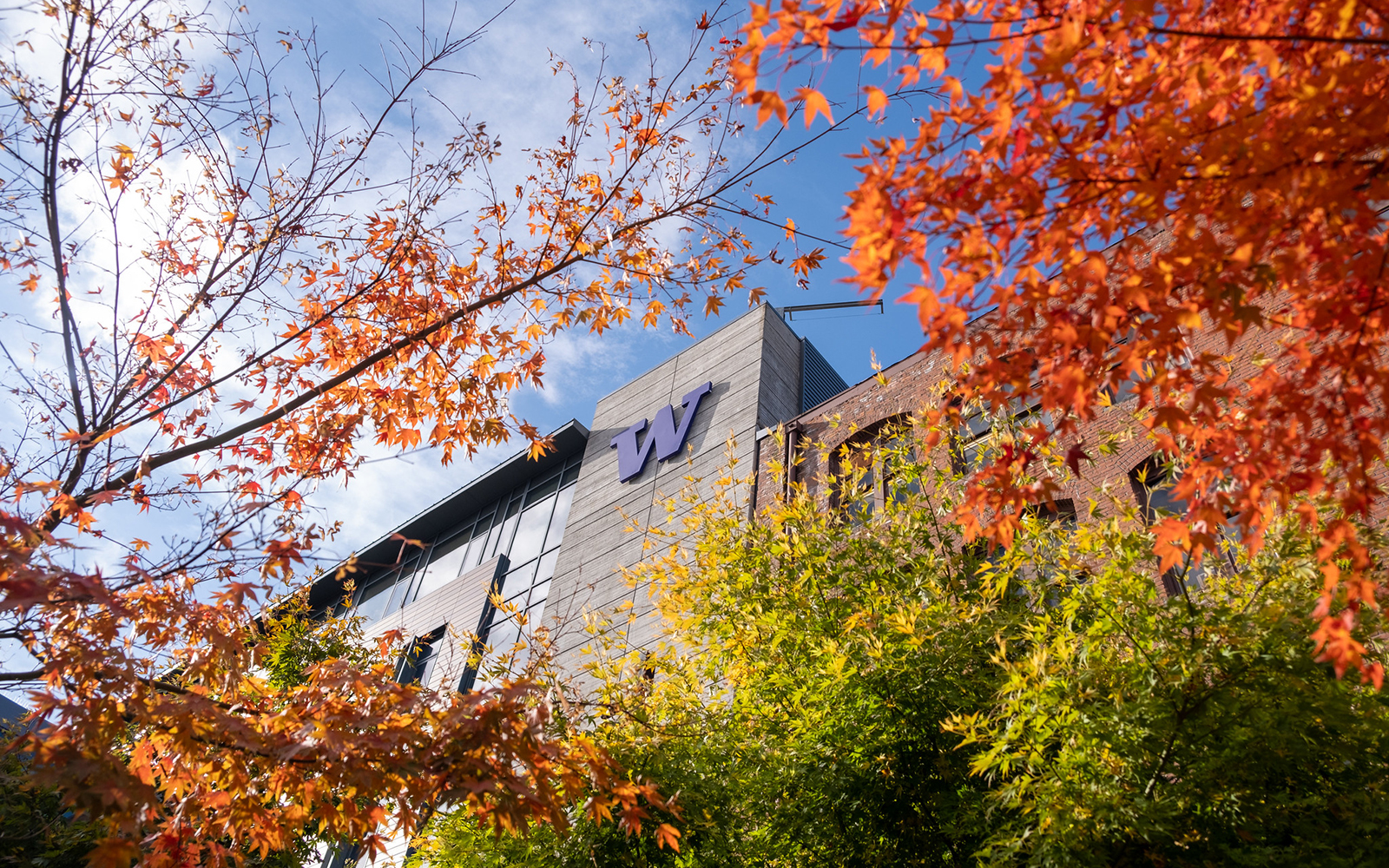 The side of a building at UW Tacoma with leaves surrounding the sides of it.