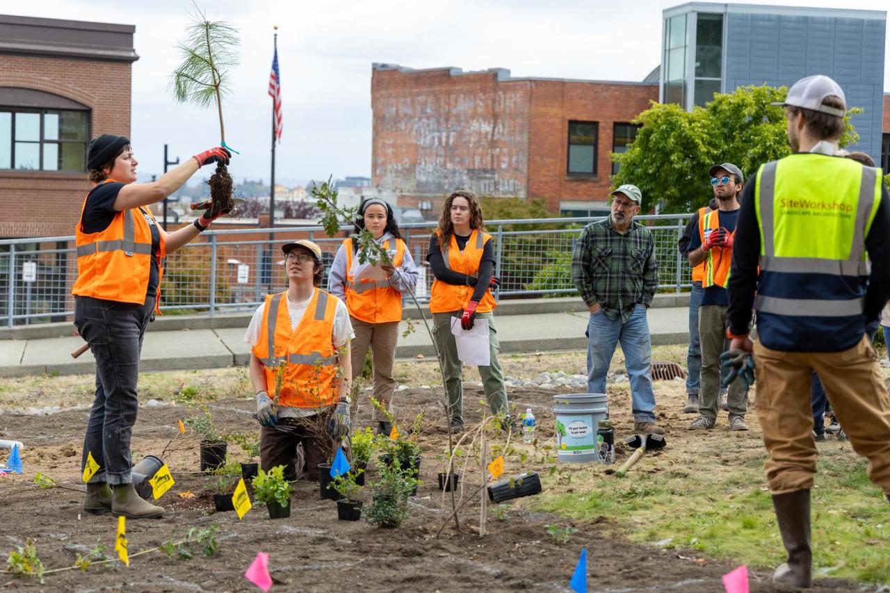 UW Tacoma community members use the Miyawaki method to rapidly reforest a small plot of land in Tacoma.