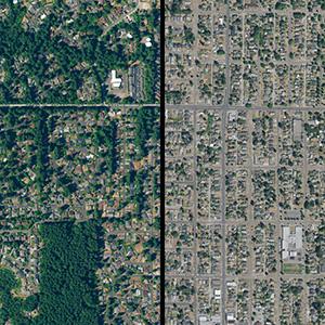Aerial view showing differences in tree cover in two neighboring cities.