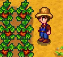 Detail of computer graphics from Stardew Valley