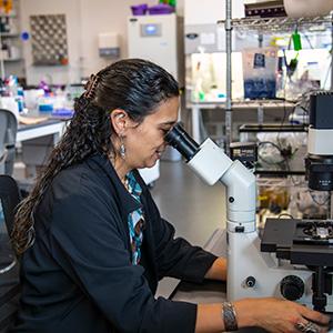 UW Tacoma faculty member Anna Groat Carmona sits and looks through a microscope. She is in a lab and there is equipment behind her. Groat Carmona is wearing a dark lab coat and her long hair is pulled back in a ponytail.