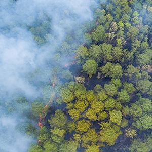 A panorama aerial wildfire burning trees dry grass in the forest.