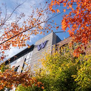 UW Tacoma side of building with leaves surrounding it.
