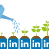 Watering can watering planters with LinkedIn logos
