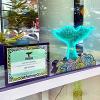 A "SEA Beacon" sculpture in the shape of a whale tail is on display in the front window of UW Tacoma’s University YMCA Student Center during the 2026 FIFA World Cup.