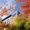 UW Tacoma side of building with leaves surrounding it.