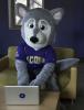 Hendrix Paying Online