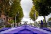 Purple Stairs on campus