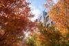 UW Tacoma campus in fall