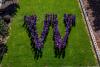 "W" photo of students, staff, and faculty at UW Tacoma Campus