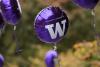 UW Purple balloon