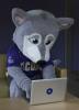Husky mascot Hendrix leans over a silver laptop with purple W logo