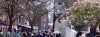 Photo of large inflatable husky on campus with trees in foreground