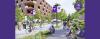 Thriving public spaces