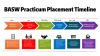 BASW Practicum timeline