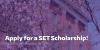 Apply for a SET Scholarship!