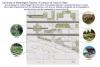 Sketch of design plan showing more green spaces