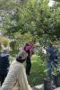 photo of person cutting from tree