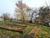 Photo of garden