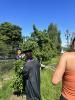 Photo of people in cap and gown